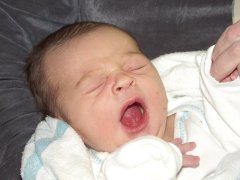 The big yawn.