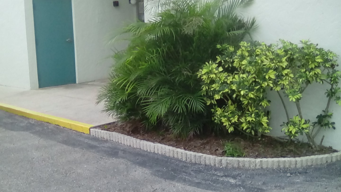 After Irma