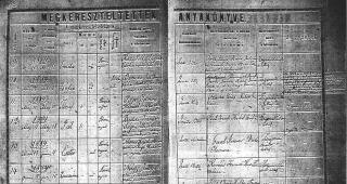 Preview of 1884 Birth Register.