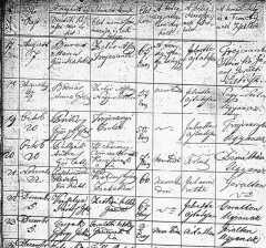 Preview of 1845 Magyar Register.