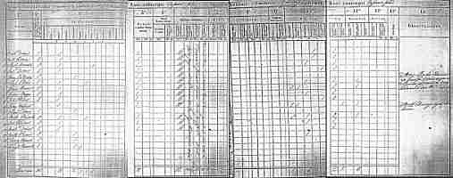 Preview of 1828 Census Record.